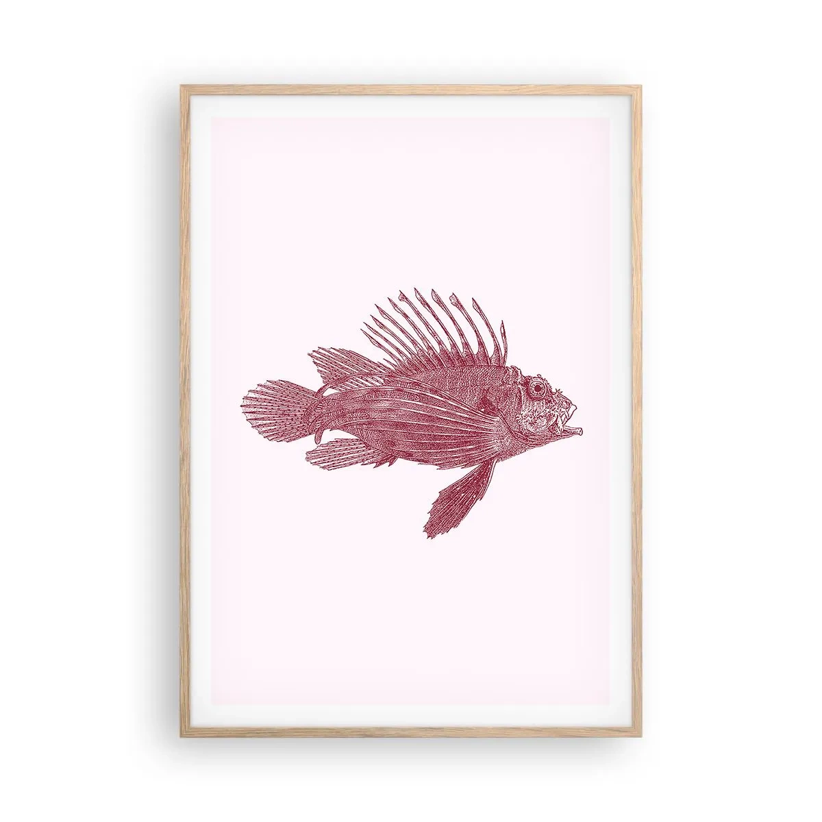 Plakat i ramme af lyst egetræ - En beboer i eksotiske farvande - 70x100 cm