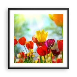 Plakat i sort ramme - Alle solens farver - 50x50 cm