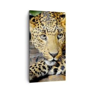 Lærredstryk - Billede på lærred - Vær ikke bange, kom nu - 45x80 cm