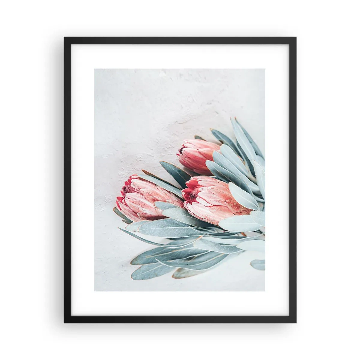 Plakat i sort ramme - Skammer sig over deres egen skønhed - 40x50 cm