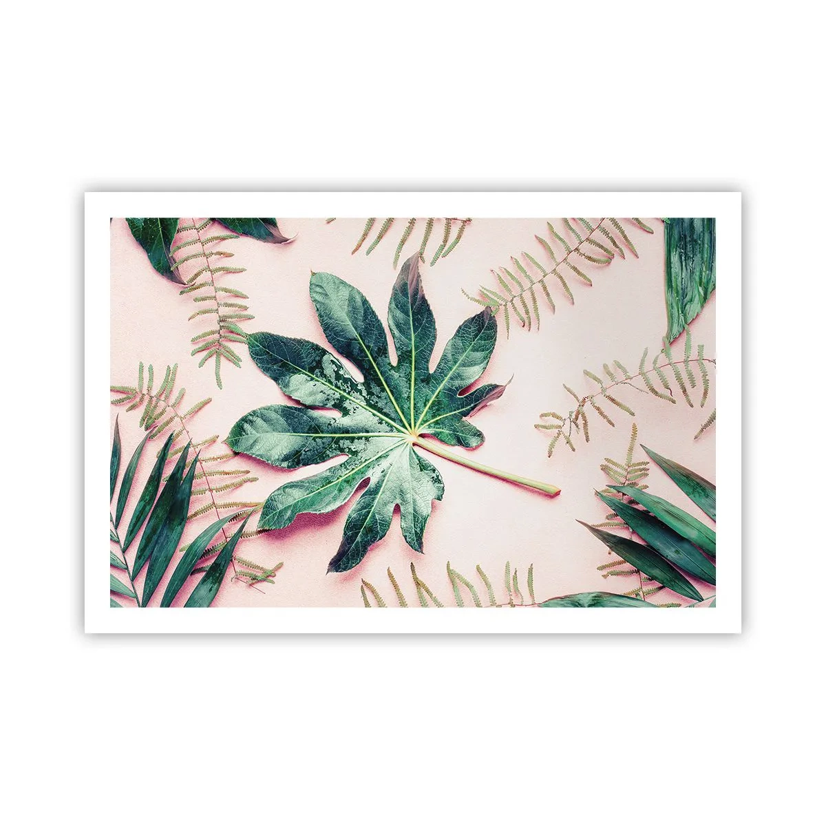 Plakat - En undersøgelse af grønt på en lyserød baggrund - 91x61 cm