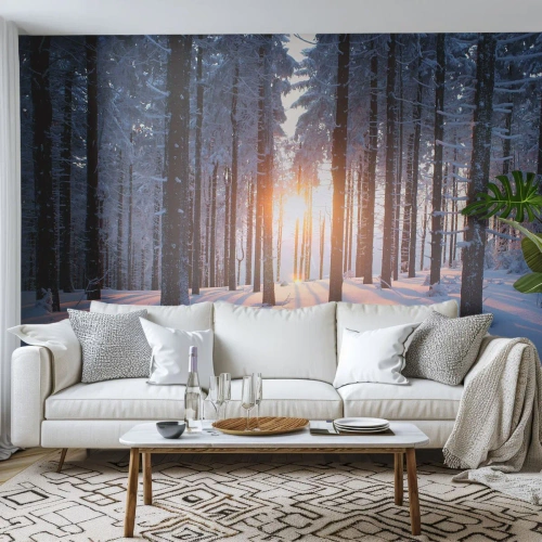 Fototapet Premium Canvas - Klart i sort og hvidt - Landskab, Skov, Sne - 150x105 cm