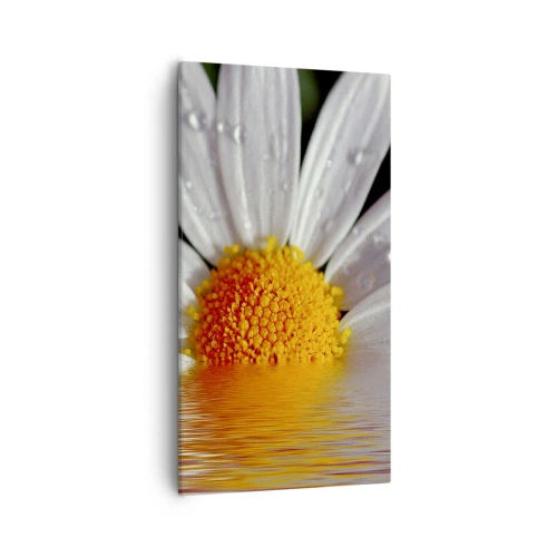 Lærredstryk - Billede på lærred - Den opgående sol på margaret - 55x100 cm