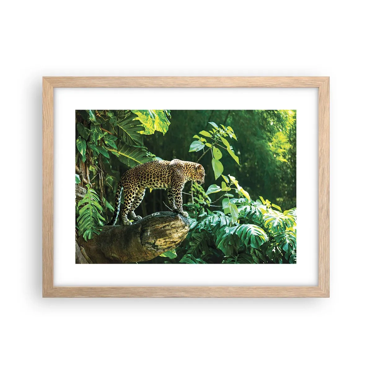 Plakat i ramme af lyst egetræ - Til jagt? - 40x30 cm