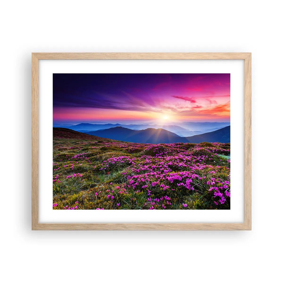 Plakat i ramme af lyst egetræ - Urter duftede friske bundter fra niw - 50x40 cm