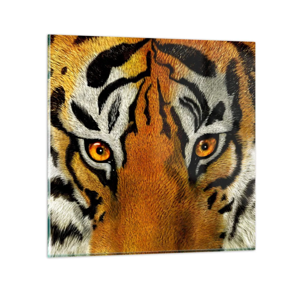 Billede på glas - Truende og smuk - 50x50 cm