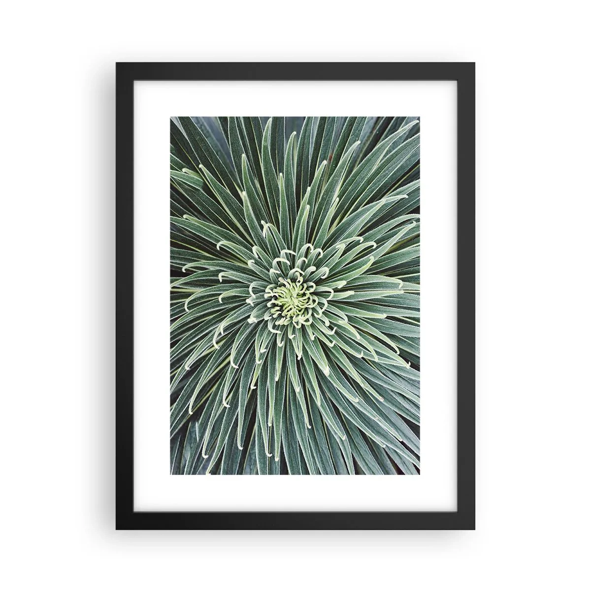 Plakat i sort ramme - En stjernes fødsel - 30x40 cm