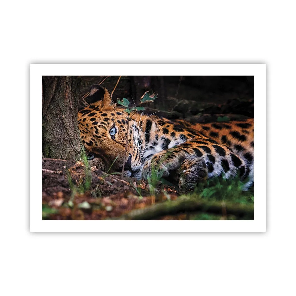 Plakat - Stol på mig - 70x50 cm