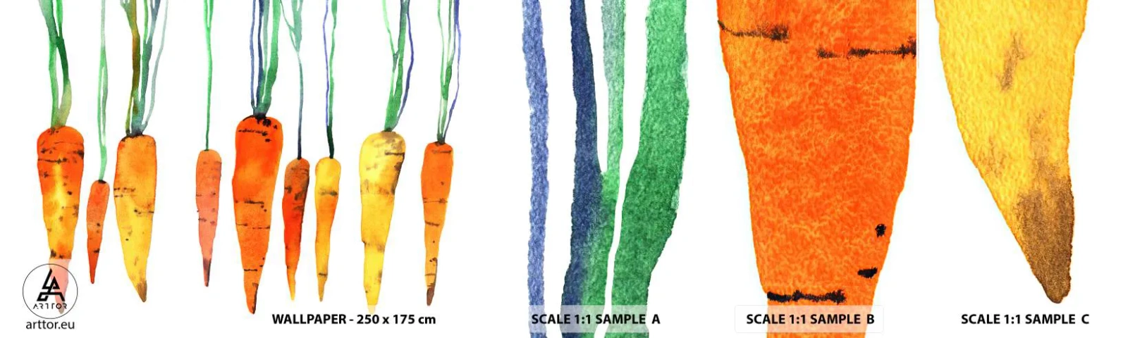 Fototapet Prøve Standard Eco - Skønheden ved det almindelige - Gastronomi, Gulerod, Grafik - 100x30 cm