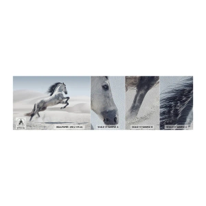 Prøve Fototapet Premium Sand - Arabisk prins - Dyr, Hest, Hest galoperende - 100x30 cm