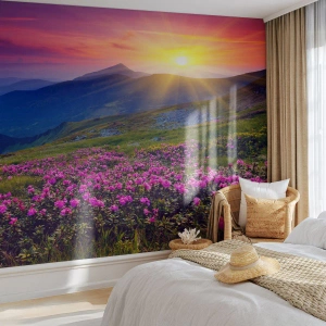 Fototapet Selvklæbende Deluxe Sticker - ... Og rundt omkring dufter det af fyrretræer og krydderurter - Landskab, Bjerge, Solnedgang - 300x210 cm