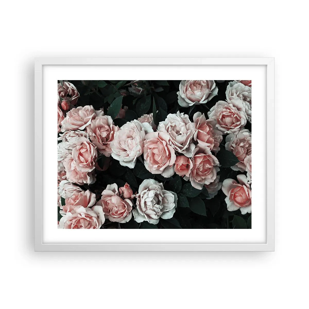 Plakat i hvid ramme - Lyserød ansamble - 50x40 cm
