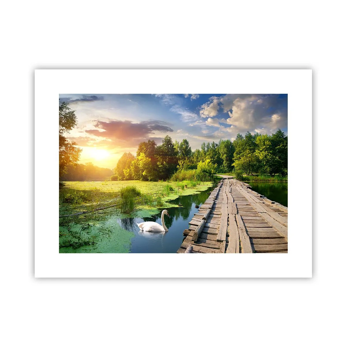 Plakat - Sommer, sommer overalt - 40x30 cm