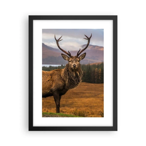 Plakat i sort ramme - Naturens majestæt - 30x40 cm