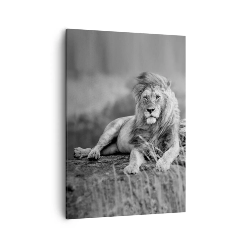 Lærredstryk - Billede på lærred - Kongelig siesta - 50x70 cm