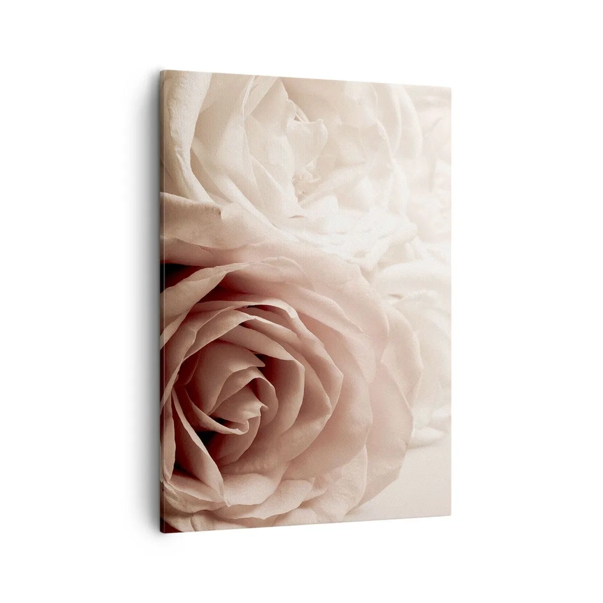 Lærredstryk - Billede på lærred - I rosens hjerte - 50x70 cm