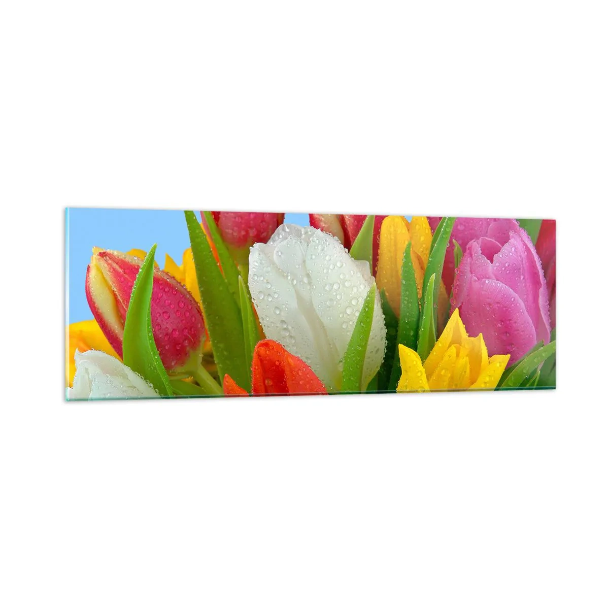 Billede på glas - En blomstret regnbue i dugdråber - 90x30 cm