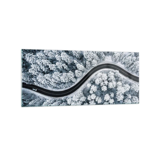 Billede på glas - Gennem en vinterskov - 120x50 cm
