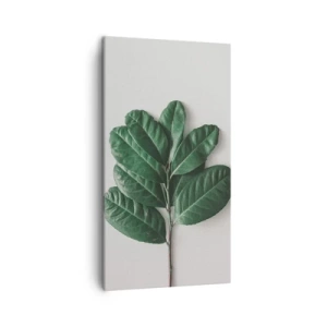 Lærredstryk - Billede på lærred - Tegning af selve naturen - 45x80 cm