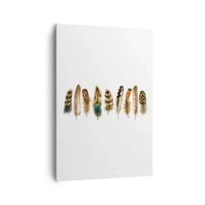 Lærredstryk - Billede på lærred - Variation med fjer - 70x100 cm