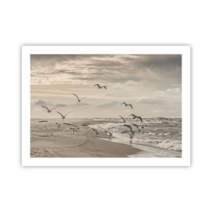 Plakat - Havet brummer, fuglene synger - 70x50 cm