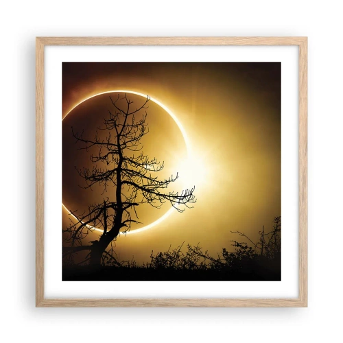 Plakat i ramme af lyst egetræ - Total formørkelse - 50x50 cm