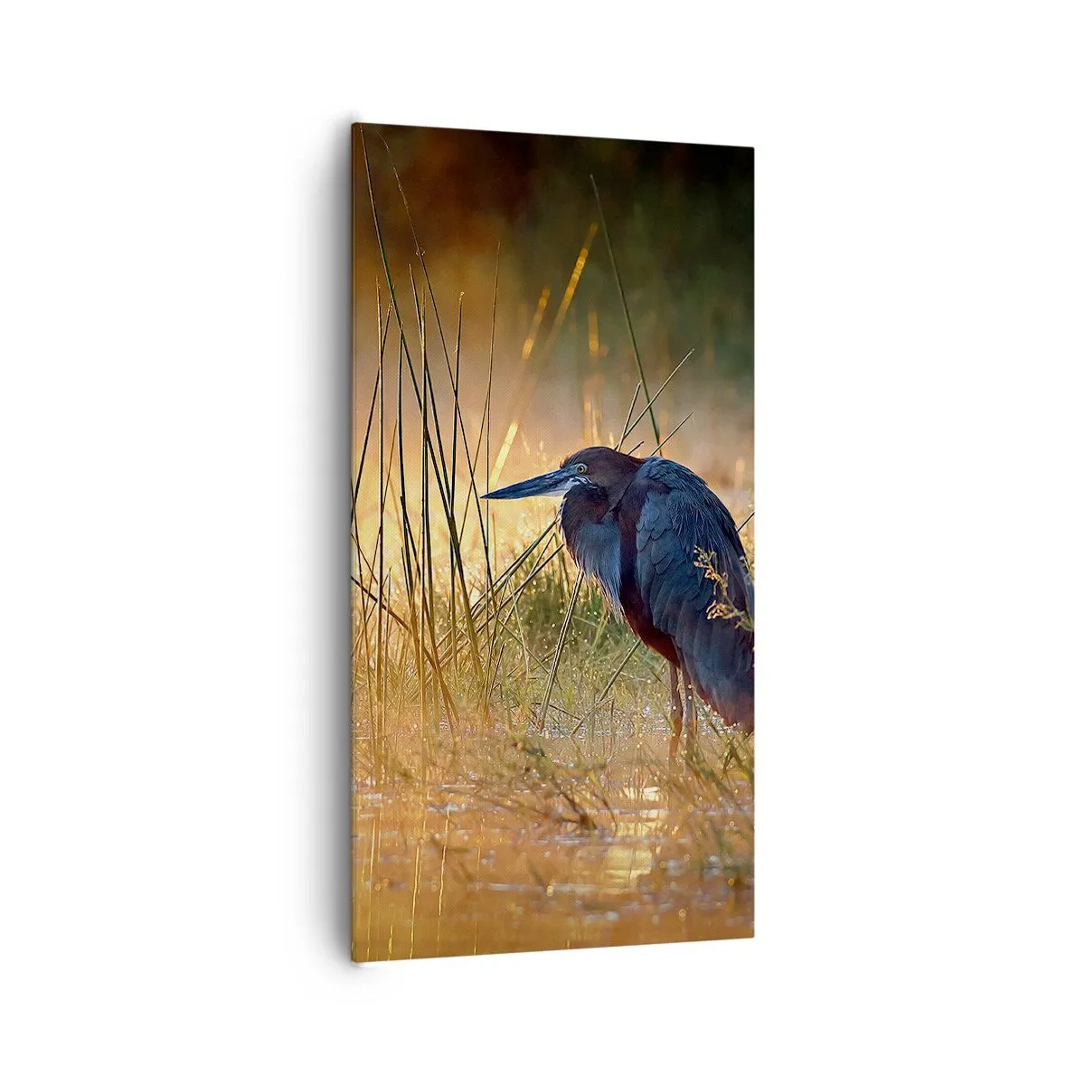 Lærredstryk - Billede på lærred - Giv mig en chance med disse billeder - 65x120 cm