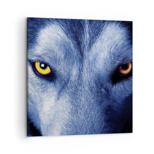 Lærredstryk - Billede på lærred - Et hypnotiserende udseende - 50x50 cm