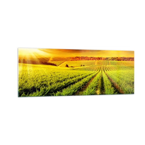 Billede på glas - Under den australske sol - 140x50 cm
