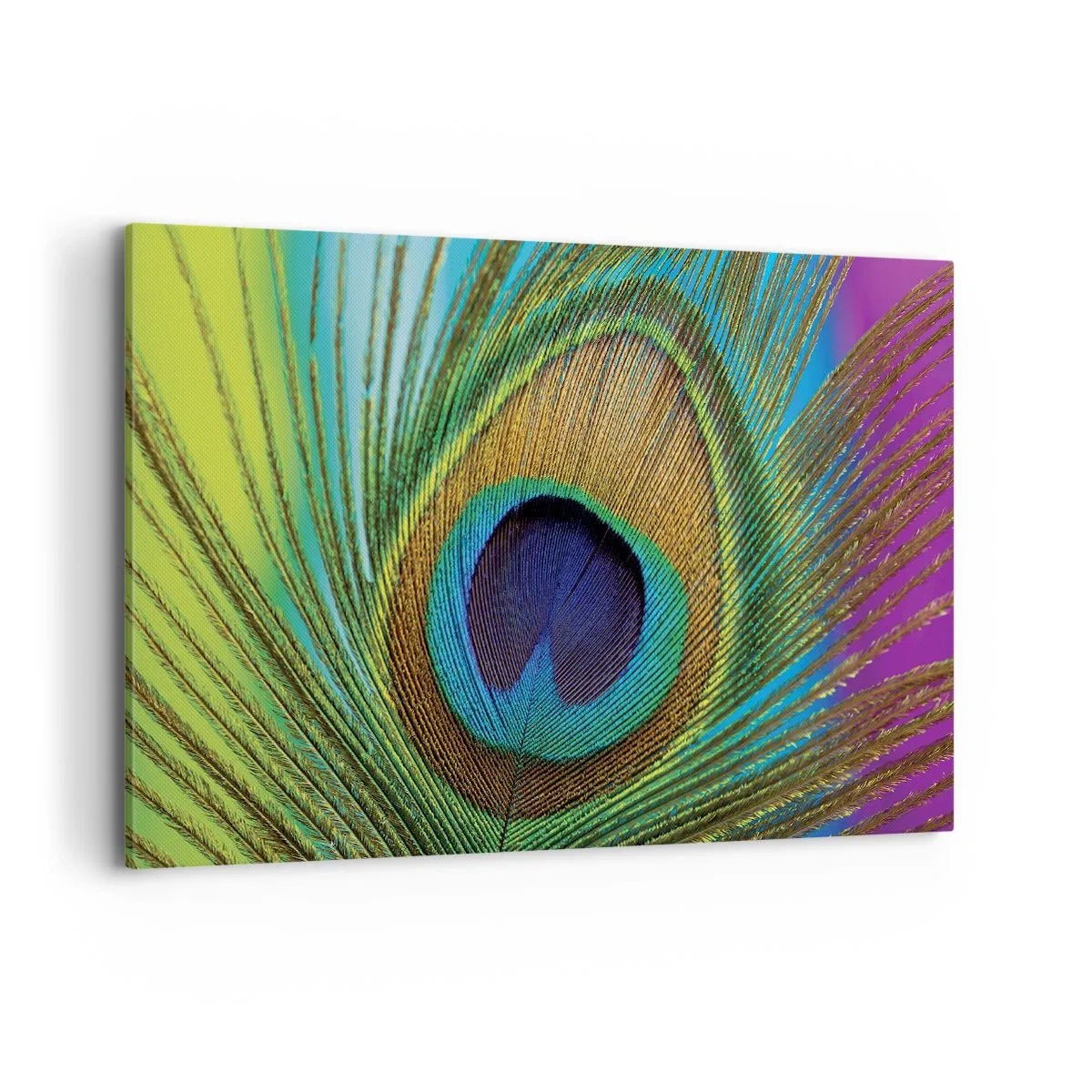 Lærredstryk - Billede på lærred - Øje mod øje - 120x80 cm