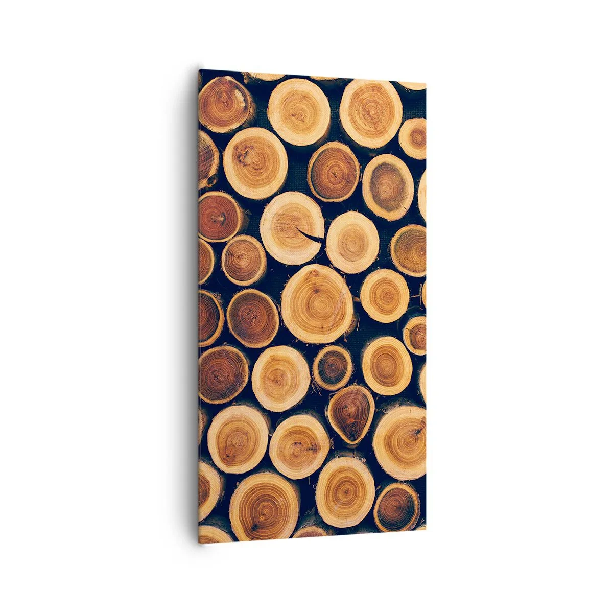 Lærredstryk - Billede på lærred - Hvor gammel ser jeg ud? - 65x120 cm