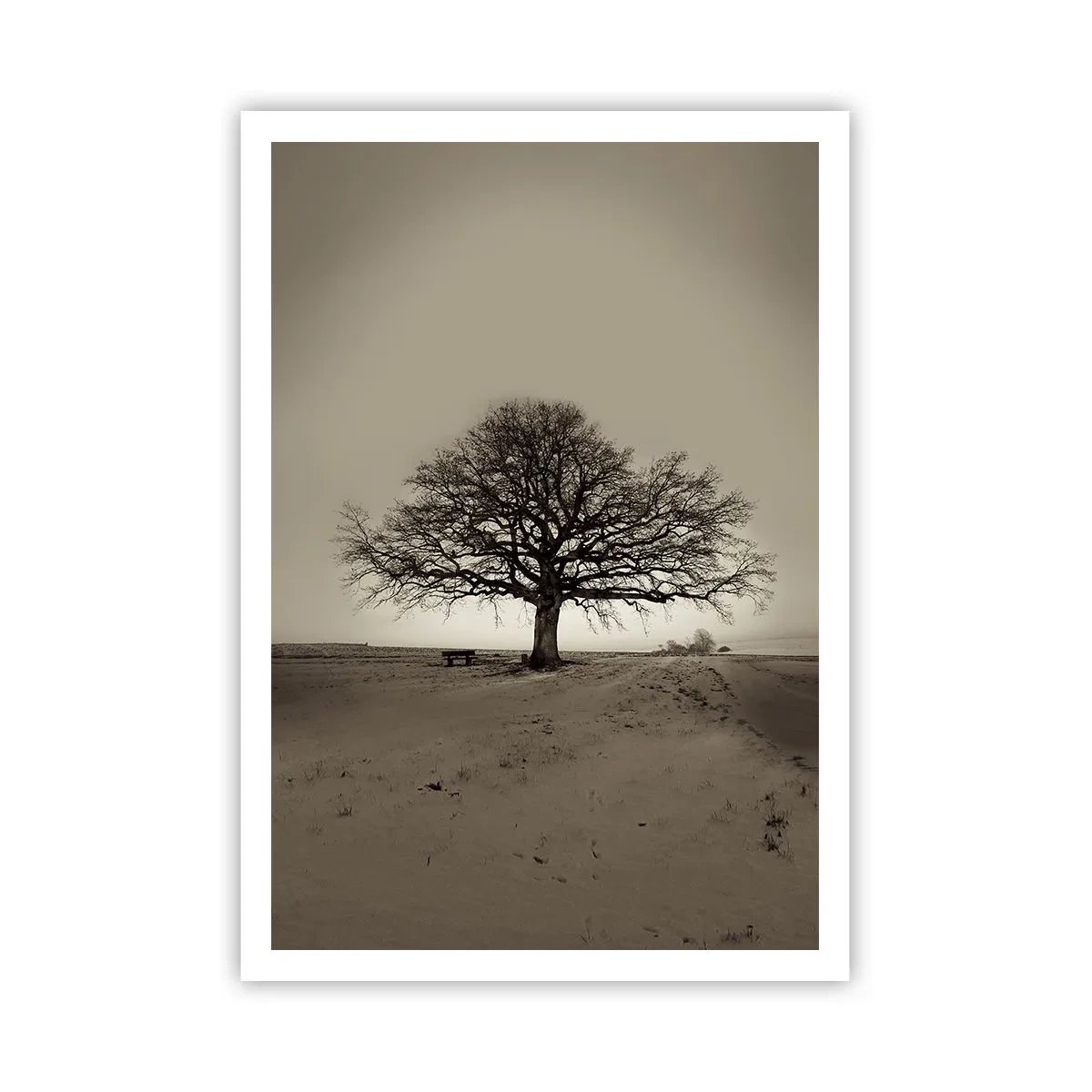 Plakat - Herfra og til evigheden - 70x100 cm