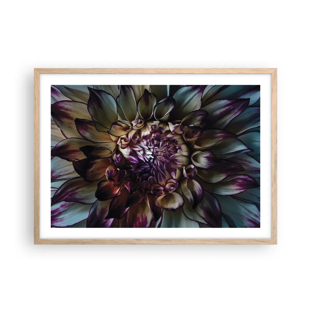 Plakat i ramme af lyst egetræ - Ungdommens blomstring - 70x50 cm