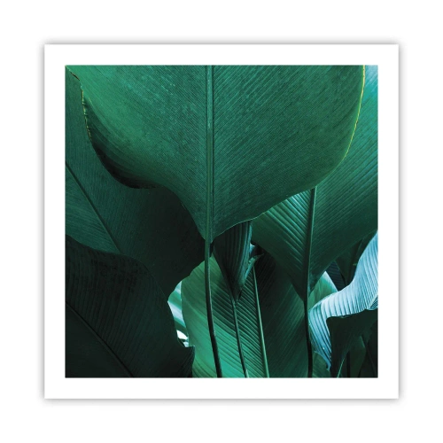 Plakat - Mod lyset - 60x60 cm