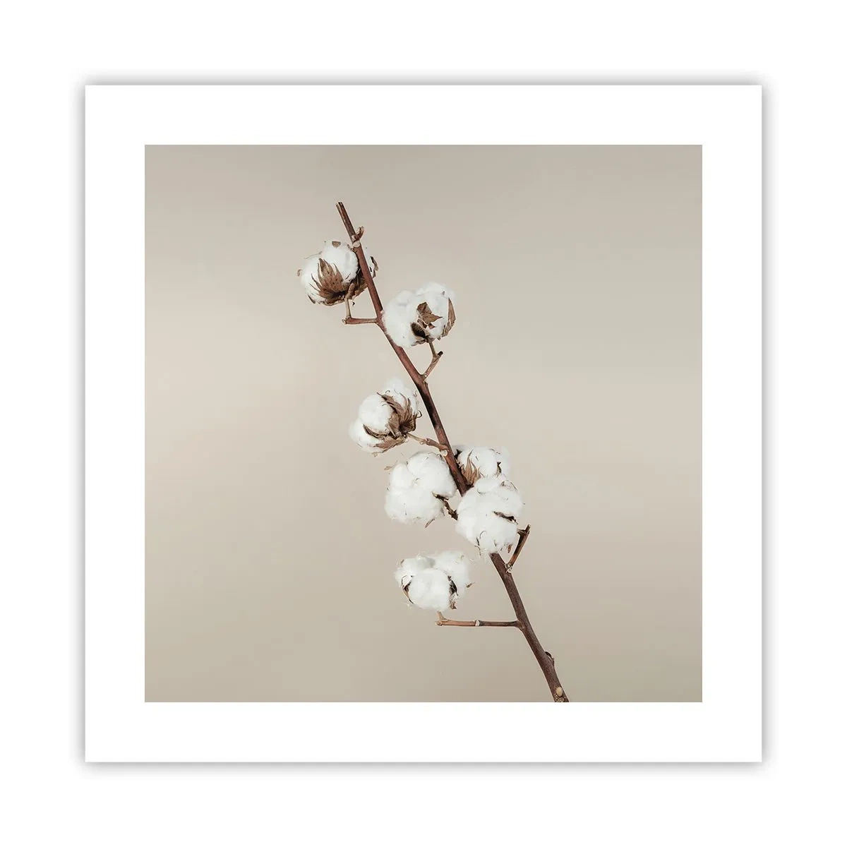 Plakat - Ved kilden til blødhed - 40x40 cm