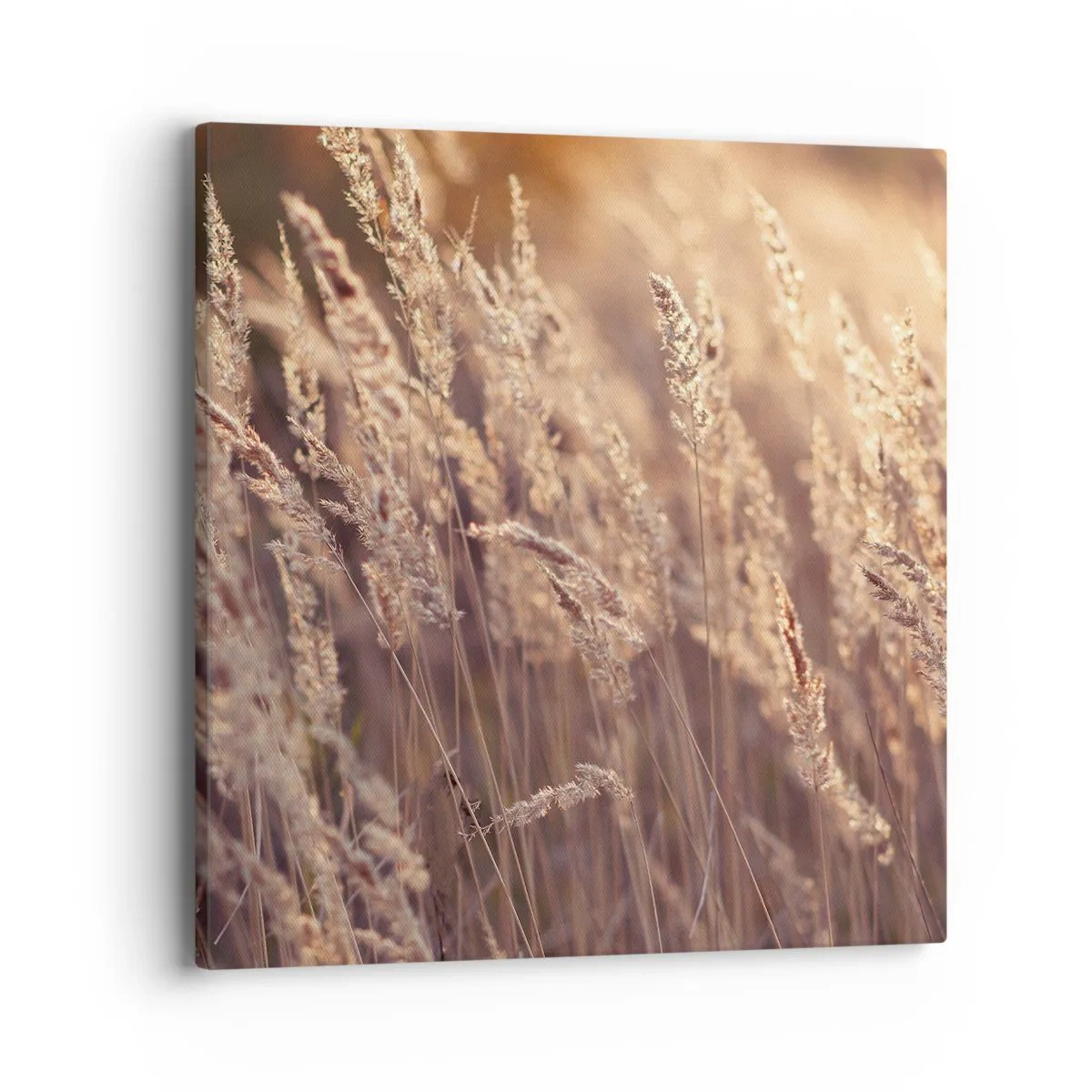 Lærredstryk - Billede på lærred - Klar til at byde efteråret velkommen - 40x40 cm