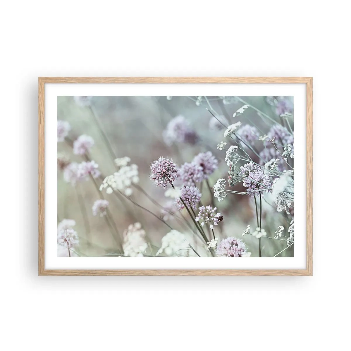 Plakat i ramme af lyst egetræ - Søde filigranurter - 70x50 cm