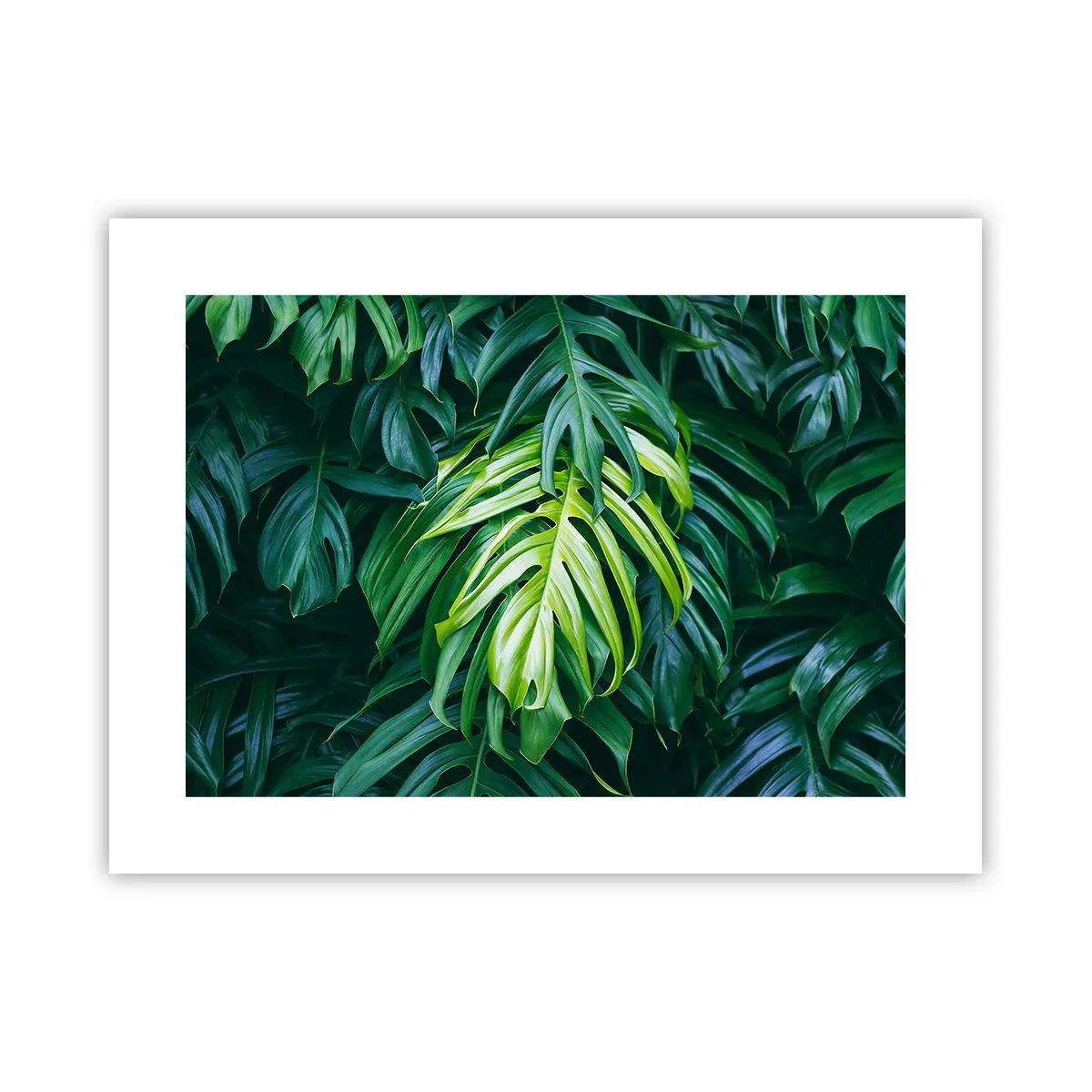 Plakat - Fordyb dig i friskhed - 40x30 cm