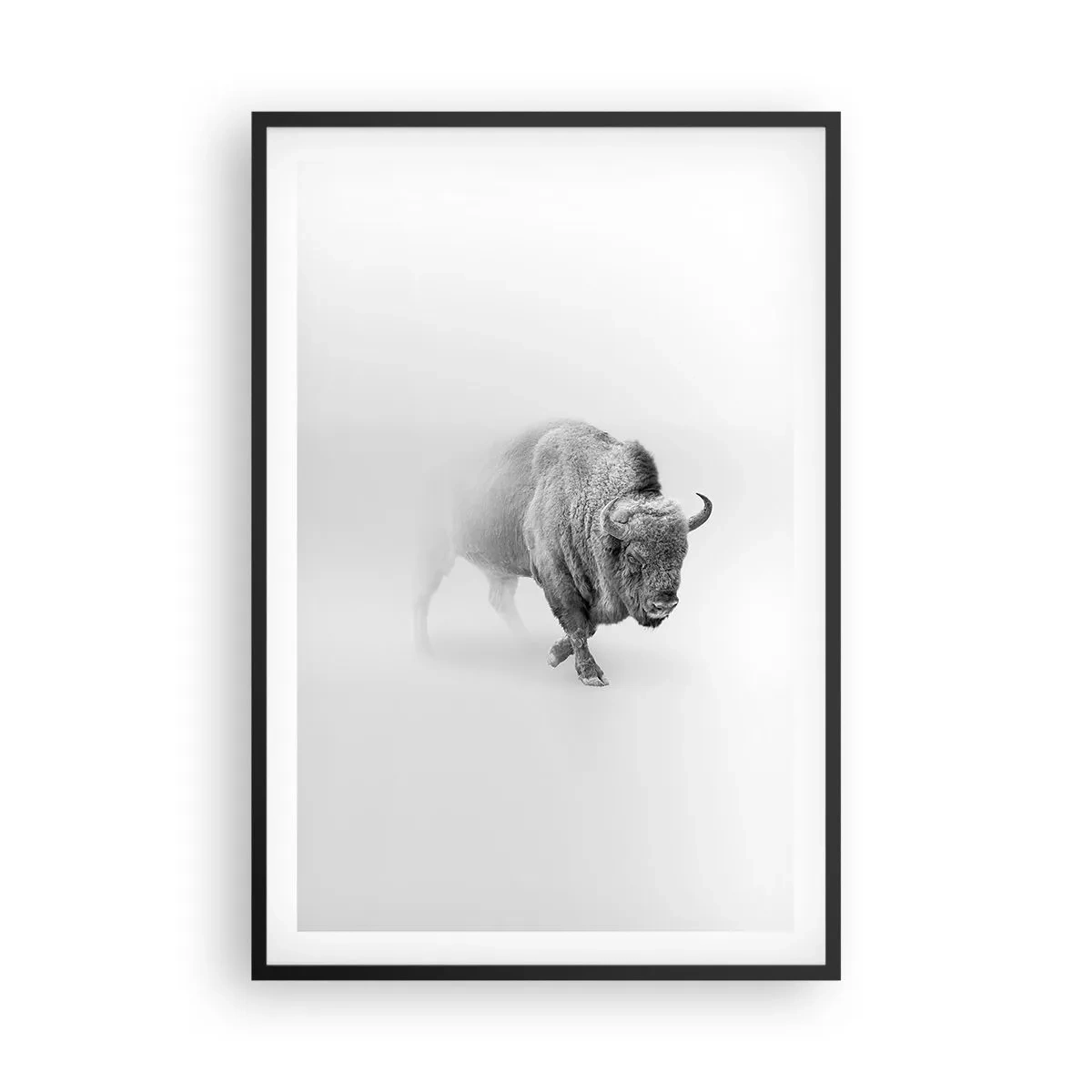 Plakat i sort ramme - Kongen af prærien - 61x91 cm