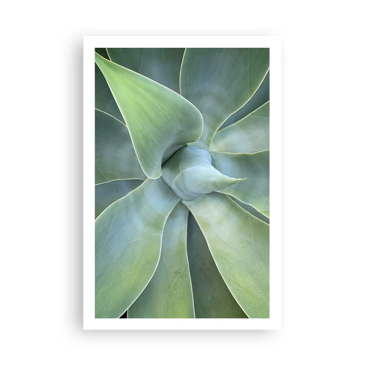 Plakat - Den grønne fødsel - 61x91 cm