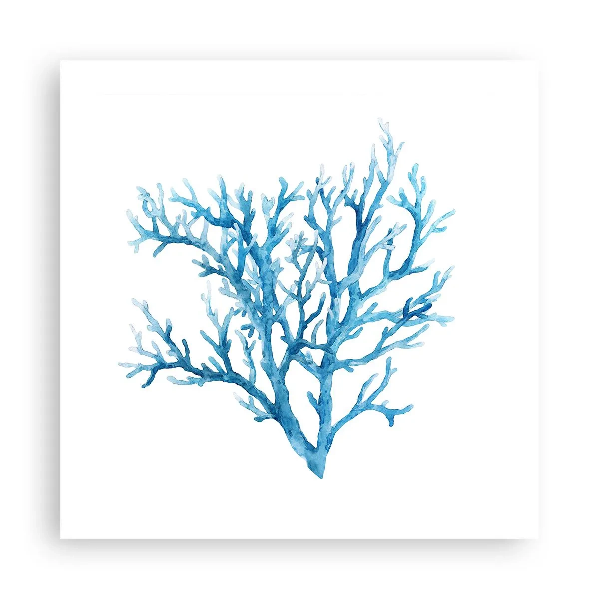 Plakat - Marint filigran - 50x50 cm