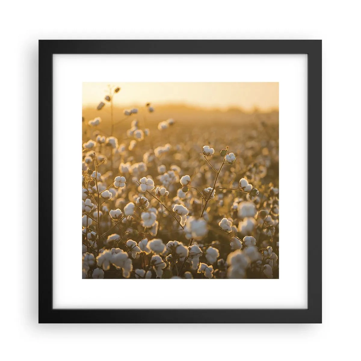 Plakat i sort ramme - Et luftigt felt - 30x30 cm
