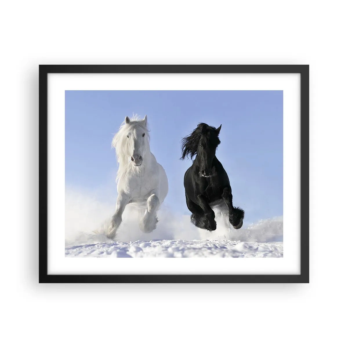 Plakat i sort ramme - Sort og hvid galop - 50x40 cm