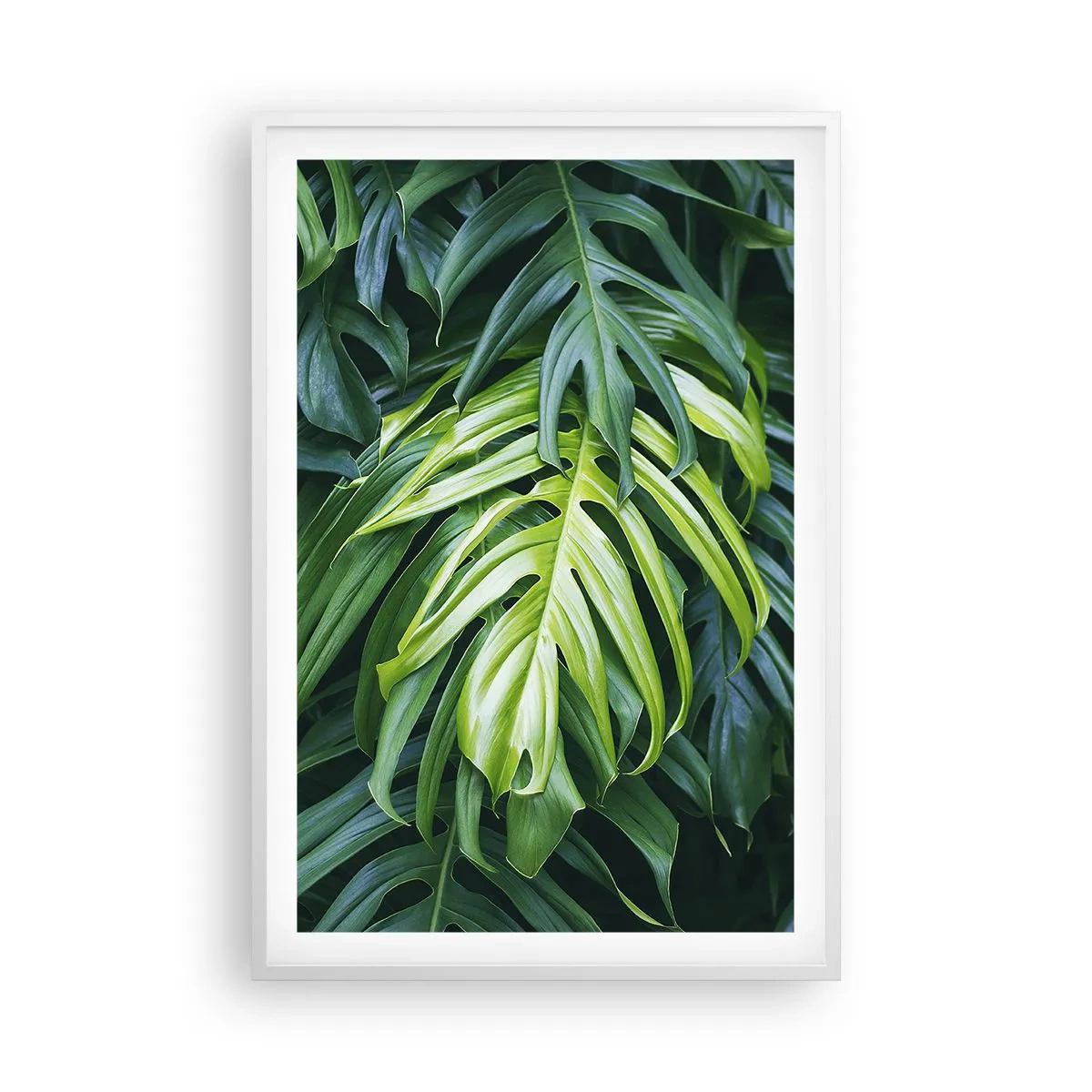 Plakat i hvid ramme - Fordyb dig i friskhed - 61x91 cm