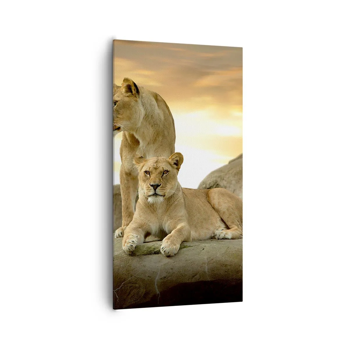 Lærredstryk - Billede på lærred - Kongelig majestæt - 65x120 cm