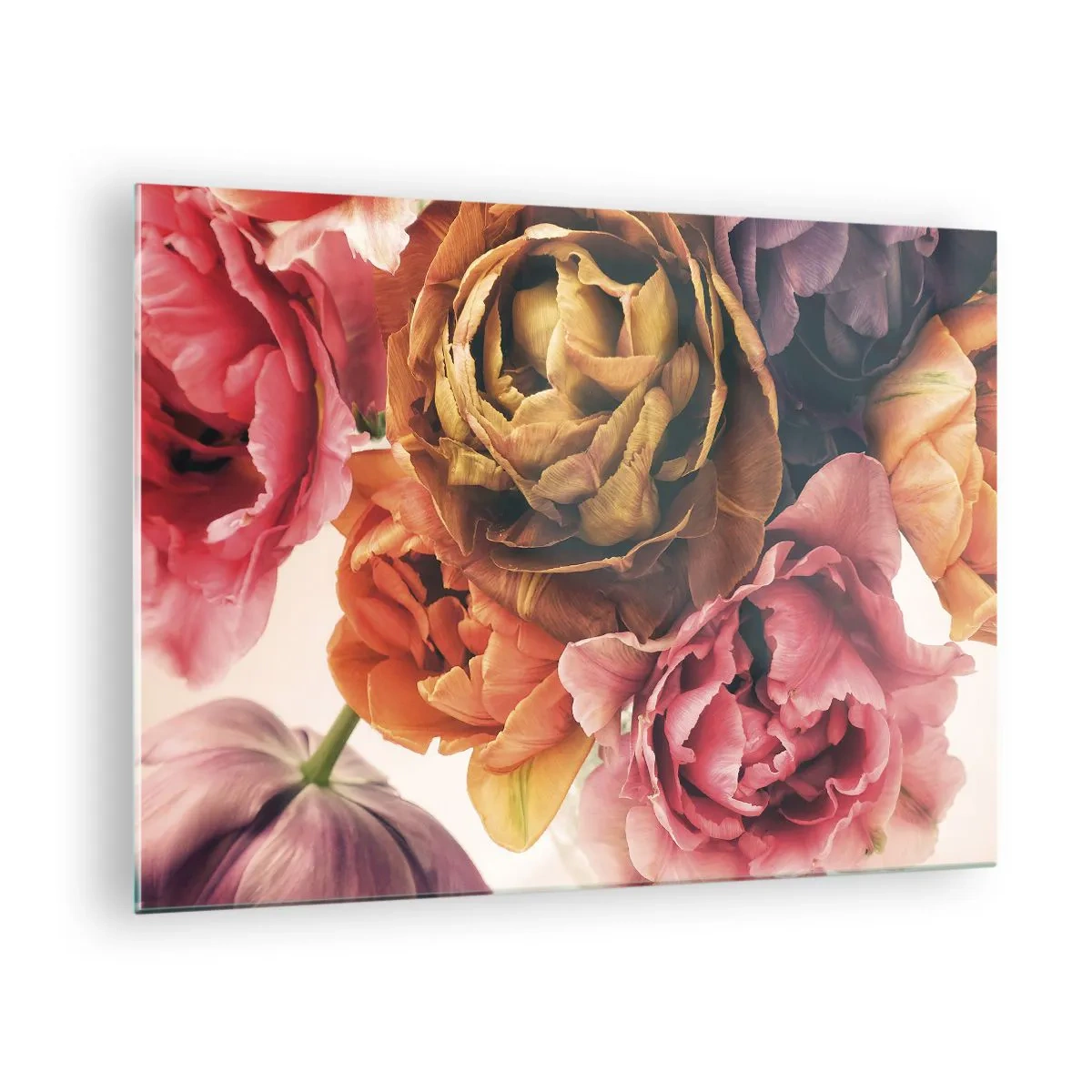 Billede på glas - Nærbillede af en buket flerfarvede blomster - 70x50cm - Fejring af livet - Moderne vægdekoration til stue og soveværelse ARTTOR