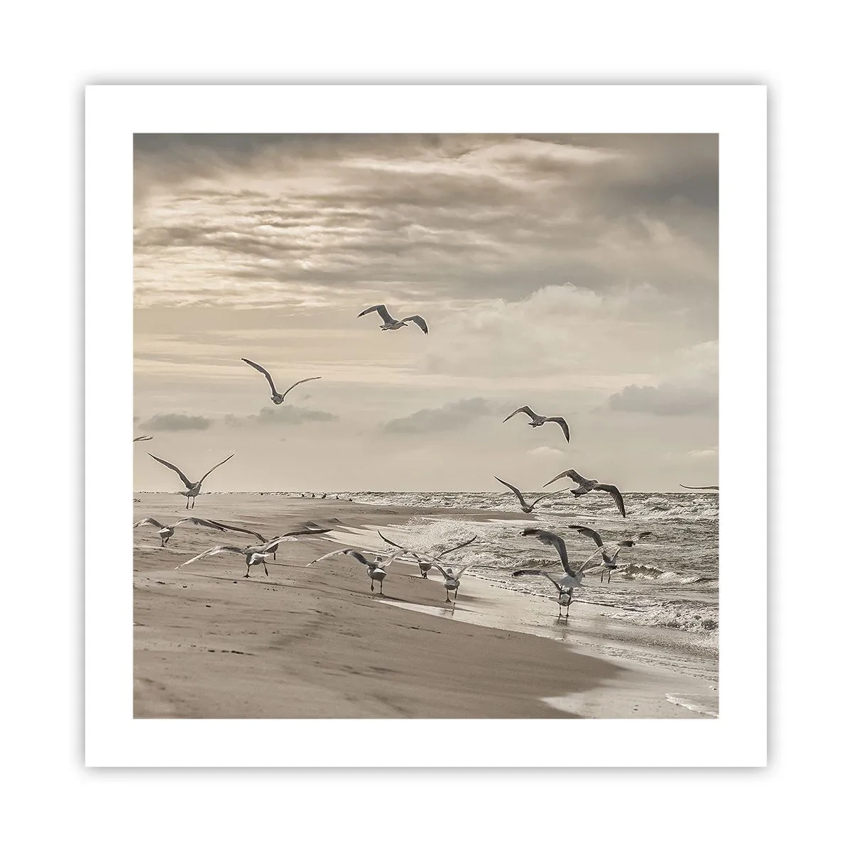 Plakat - Havet brummer, fuglene synger - 50x50 cm