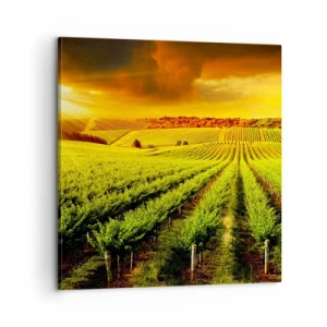 Lærredstryk - Billede på lærred - Under den australske sol - 60x60 cm