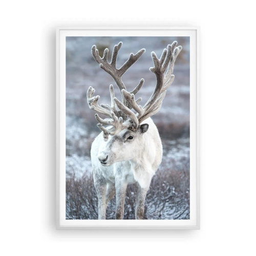 Plakat i hvid ramme - Portræt i solen - 70x100 cm