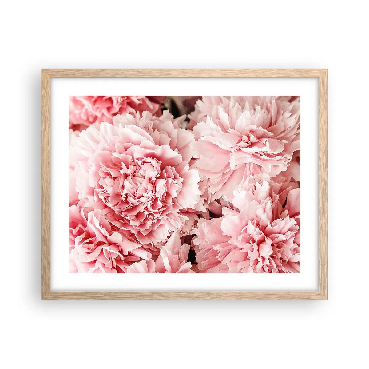 Plakat i ramme af lyst egetræ - Lyserød drøm - 50x40 cm